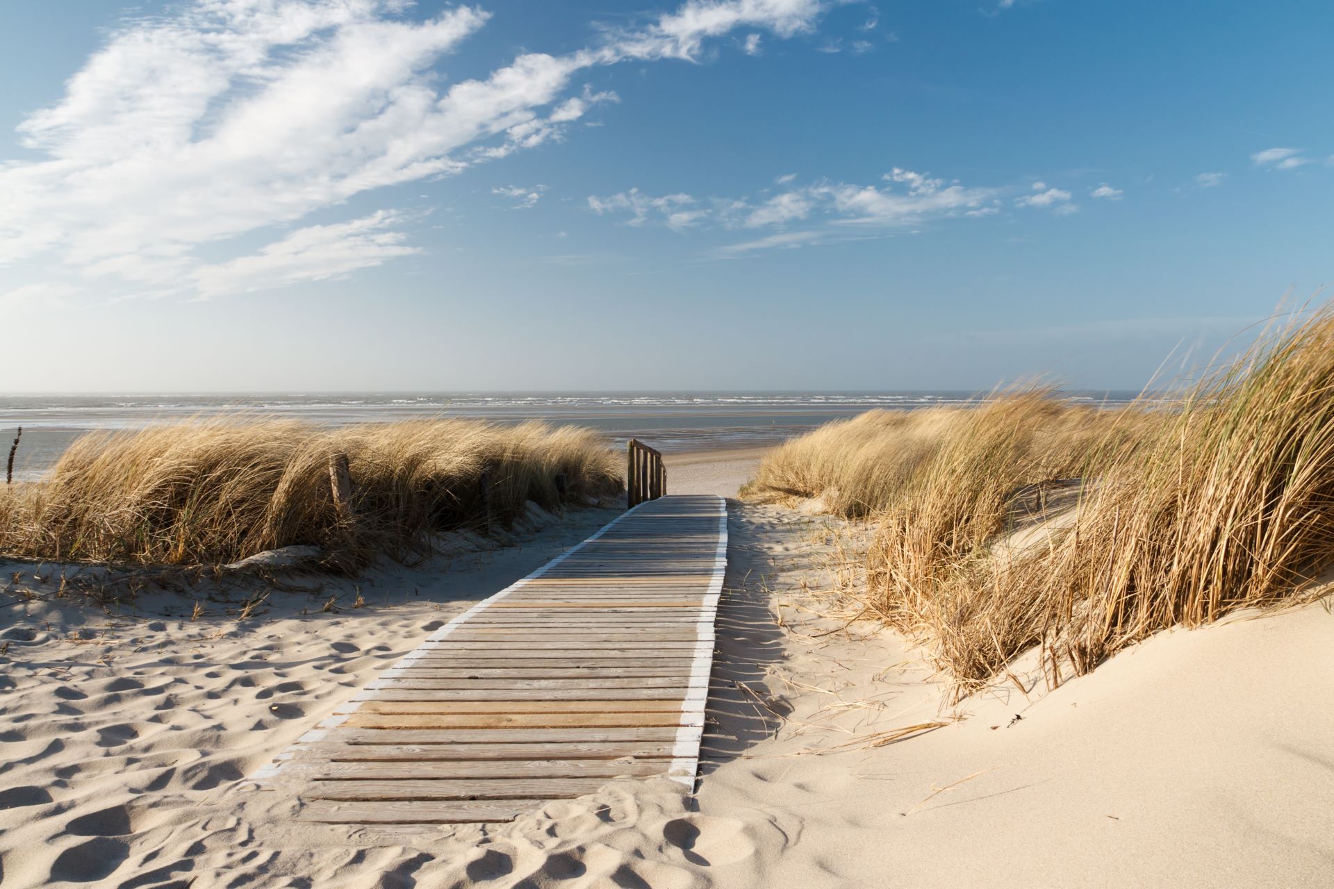 Holzsteg führt durch Dünen mit hohem Gras zu einem weiten, sandigen Strand und einem ruhigen Meer unter einem blauen Himmel mit leichten Wolken